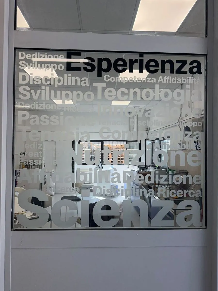 Vetrofania decorativa uffici Perpet